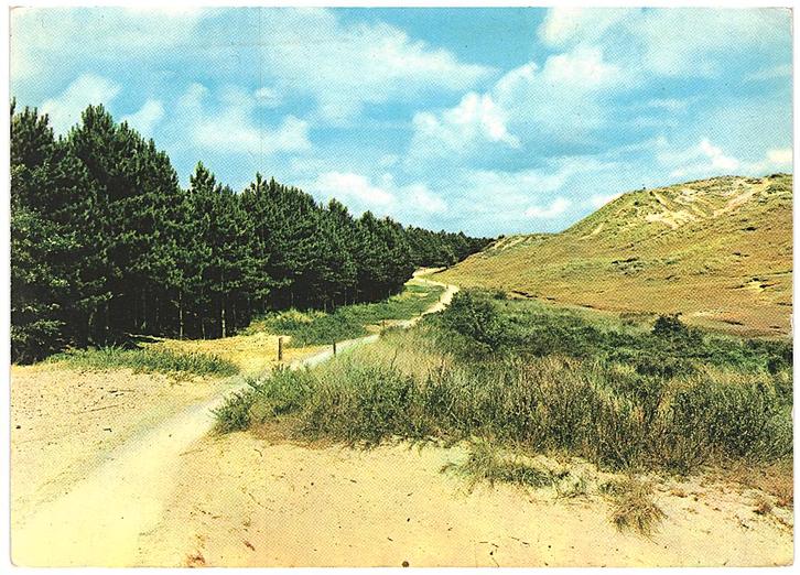 910919 Terschelling Duin 1969 Gelopen met Postzege, Verzamelen, Ansichtkaarten | Nederland, Gelopen, Waddeneilanden, 1960 tot 1980