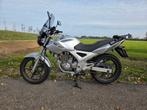 Honda CBF250 2007 met topkoffer en windscherm, 250 cc, Bedrijf, Toermotor, Minimaal motorrijbewijs A2
