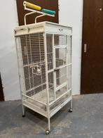 Papegaaienkooi, Ophalen, Gebruikt, Metaal, Vogelkooi