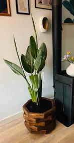 Grote vurenhouten plantenpot - op wieltjes, Huis en Inrichting, Kamerplanten, Ophalen of Verzenden, Halfschaduw, Minder dan 100 cm