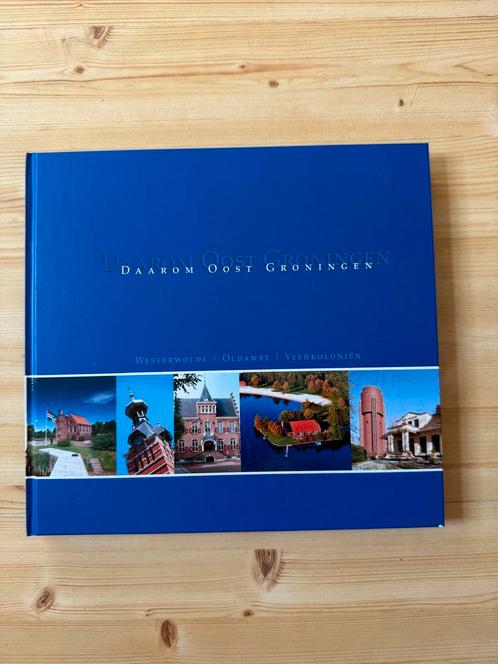 Daarom Oost Groningen - Streekboek, Boeken, Streekboeken en Streekromans, Zo goed als nieuw, Groningen, Ophalen of Verzenden