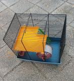 Hamsterkooi met toebehoren, Kooi, Gebruikt, Minder dan 75 cm, Hamster
