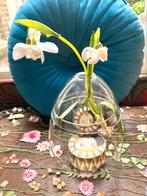 Glazen ei met deksel voor snoep plantjes en decoratie, Minder dan 50 cm, Nieuw, Glas, Ophalen of Verzenden