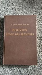 Bouvier Belge des Flandres, Ophalen of Verzenden, Honden