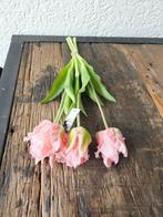 Prachtige Kunst Papegaaitulpen - Roze, Ophalen of Verzenden, Nieuw