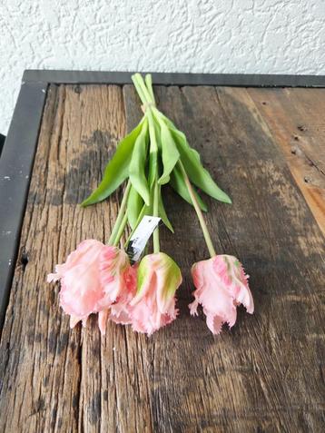 Prachtige Kunst Papegaaitulpen - Roze beschikbaar voor biedingen