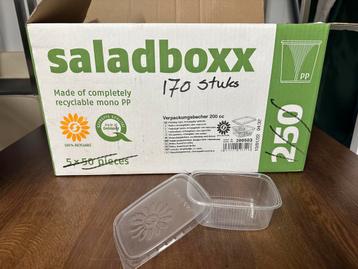170 Stuks Saus - / Salade Bakjes beschikbaar voor biedingen