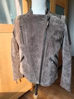 Bruin suède bikerjasje merk Mango mt L, Maat 38/40 (M), Mango, Bruin, Ophalen of Verzenden