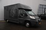 Peugeot Boxer 335 2.2 HDI L4 Paardenwagen 131PK B Rijbewijs, Auto's, Euro 5, Stof, Gebruikt, 4 cilinders