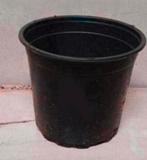 Kweekpotten 1,5 liter, Kunststof, Gebruikt, Rond, Ophalen of Verzenden