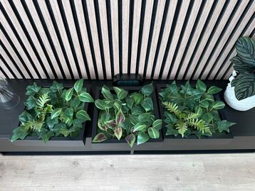 3 x Sannahed fotolijst + 3 x Fejka kunstplant beschikbaar voor biedingen