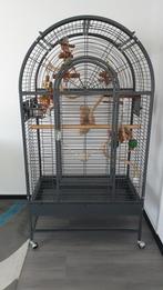 Papegaaienkooi, Dieren en Toebehoren, Ophalen, Gebruikt, Metaal, Vogelkooi