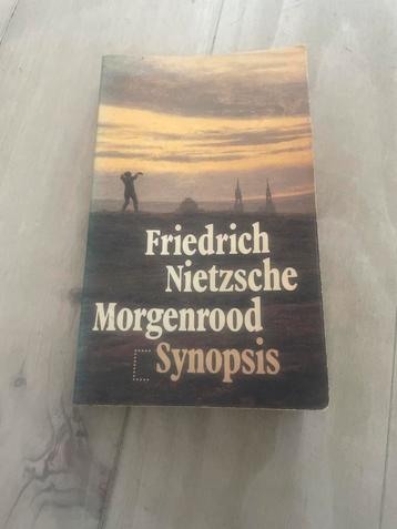 Nietzsche - Morgenrood (Synopsis) beschikbaar voor biedingen