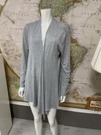 Zilver kleurig vestje van Crivit maat L, Kleding | Dames, Maat 38/40 (M), Douwenmaat 8-3 Meppel, Ophalen of Verzenden, Crivit