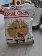 Royal canin adult voor Maine coon, Ophalen, Kat