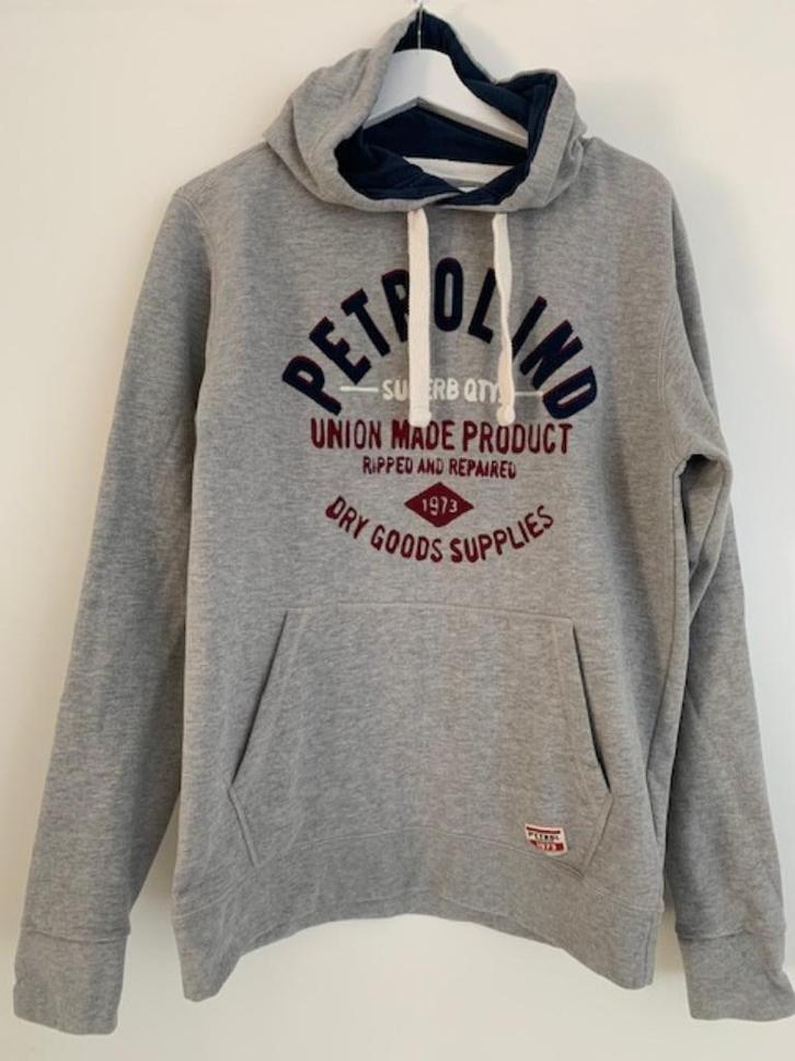 Hoodie-grijs-maat L, Kleding | Heren, Truien en Vesten, Zo goed als nieuw, Maat 52/54 (L), Grijs, Ophalen of Verzenden