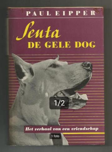 Senta de gele dog - Paul Eipper beschikbaar voor biedingen