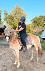 Gezocht bijrijder/hulp/begeleiding in horsemanship., Ophalen of Verzenden, Nieuw, Recreatie