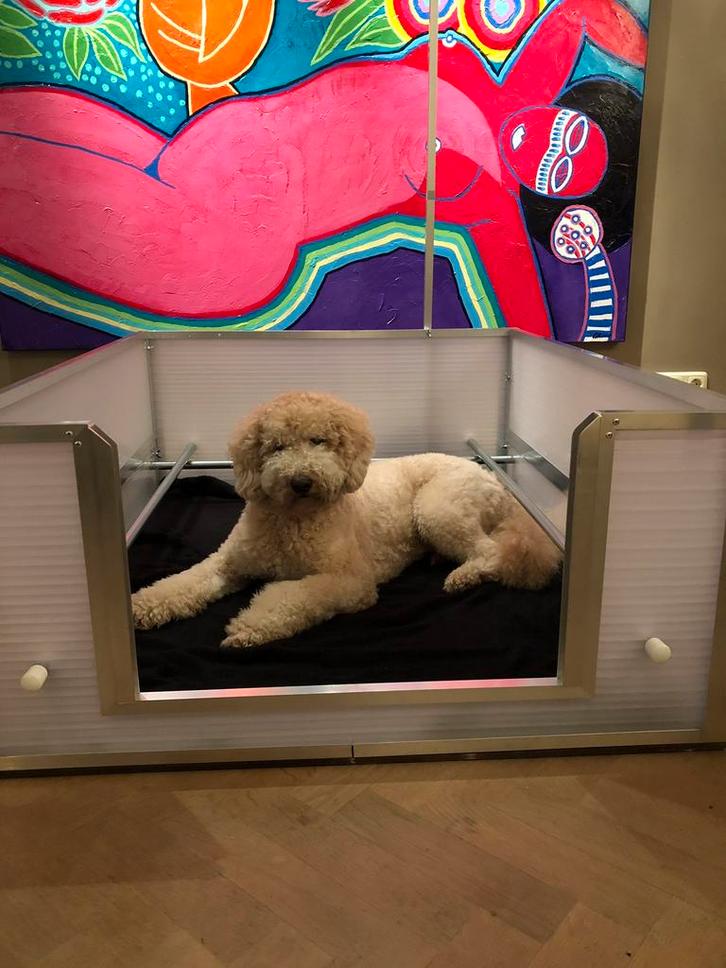 Te huur verhuur werpkist voor honden van polycarbonaat, Dieren en Toebehoren, Hondenhokken, Zo goed als nieuw, Minder dan 65 cm