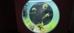 Super tof doorkijk aquarium van 100 liter, Dieren en Toebehoren, Ophalen, Zo goed als nieuw, Leeg aquarium