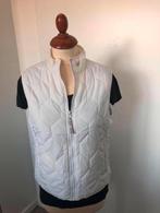 ❤️ DKNY Mt M bodywarmer wit NIEUW, Maat 38/40 (M), Wit, DKNY, Ophalen of Verzenden