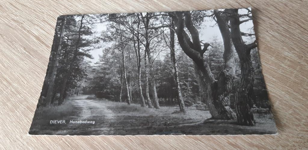 Diever - Hunnebedweg, Ophalen of Verzenden, 1940 tot 1960, Gelopen, Drenthe