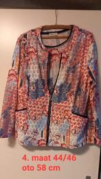 Vest met bijpassende shirt, Kleding | Dames, Truien en Vesten, Ophalen of Verzenden, Zo goed als nieuw, Maat 38/40 (M)