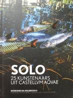 SOLO  25 Haarlemse kunstenaars, Boeken, Ophalen of Verzenden, Zo goed als nieuw, Schilder- en Tekenkunst
