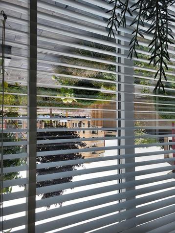 Raambekleding luxaflexen verschillende maten beschikbaar voor biedingen