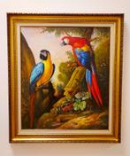 Alfonso Moreno-Tropische vogels, Ophalen of Verzenden