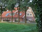 Luxe Vakantieboerderij 33 personen, Vakantie, Vakantiehuizen | Nederland, Open haard, 4 of meer slaapkamers, Overijssel, Landelijk