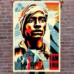 Shepard Fairey (OBEY) - Voting Rights are Human Rights, Ophalen of Verzenden