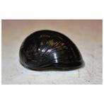 Duitse helm slak - super schoonmaker voor je aquarium!, Slak of Weekdier, Zoetwatervis