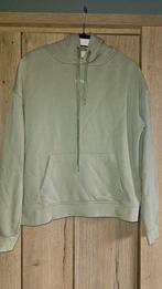 Hoodie van de Sting, Ophalen of Verzenden, Gedragen, Maat 42/44 (L), Groen