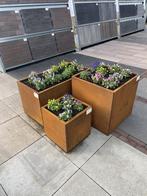 Topaanbieding zware kwaliteit Cortenstalen bloembakken, Tuin en Terras, Bloembakken en Plantenbakken, Nieuw, Metaal, 60 tot 100 cm