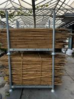 Gebroken Bamboestokken - Decoratief, Tuin en Terras, Palen, Balken en Planken, Ophalen, Gebruikt, Minder dan 180 cm, Palen