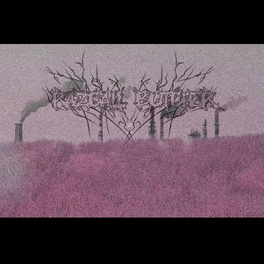 Nu metal/hardcore/beatdown bandleden gezocht