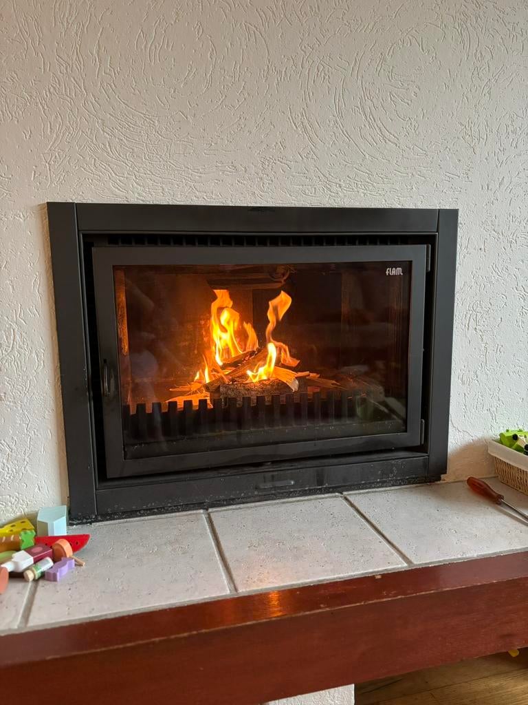 Gietijzeren houtkachel Flam, Ophalen, Zo goed als nieuw, Hout, Houtkachel