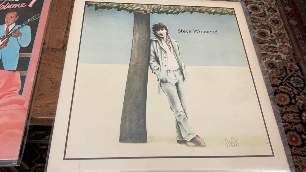 Steve Winwood. Steve Winwood, 1960 tot 1980, Ophalen of Verzenden, Zo goed als nieuw, 12 inch