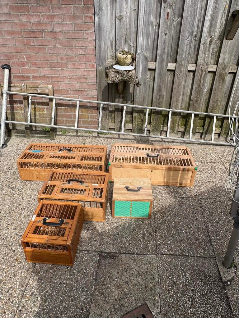 Duivenhokken, Dieren en Toebehoren, Vogels | Hokken en Kooien, Ophalen of Verzenden, Gebruikt, Hout, Overige typen