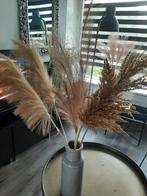 Mooie pluimen 9,95 vaas 4,95, Huis en Inrichting, Woonaccessoires | Kunstplanten en Kunstbloemen, Ophalen, Zo goed als nieuw