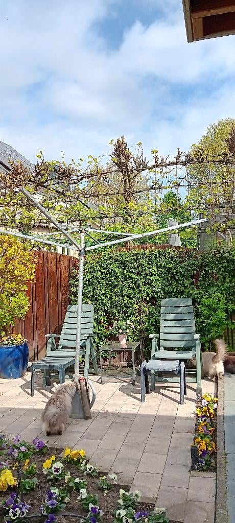 Droogmolen Brabantia met grondanker, Tuin en Terras, Droogmolens en Wasrekken, Ophalen, Gebruikt, Droogmolen