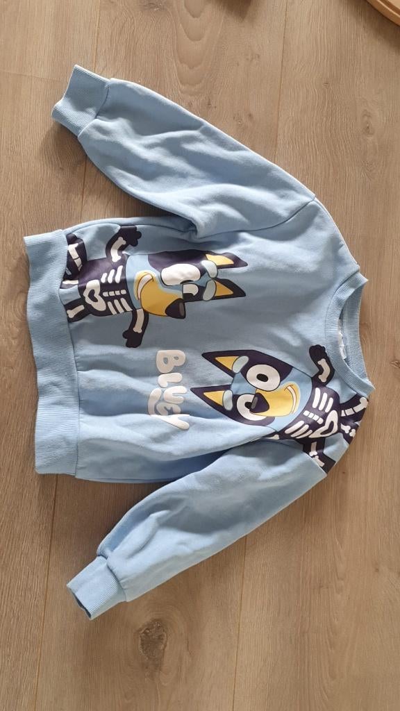 Bluey sweater maat 110/116, Kinderen en Baby's, Kinderkleding | Maat 110, Ophalen of Verzenden, Gebruikt, Jongen of Meisje, Trui of Vest