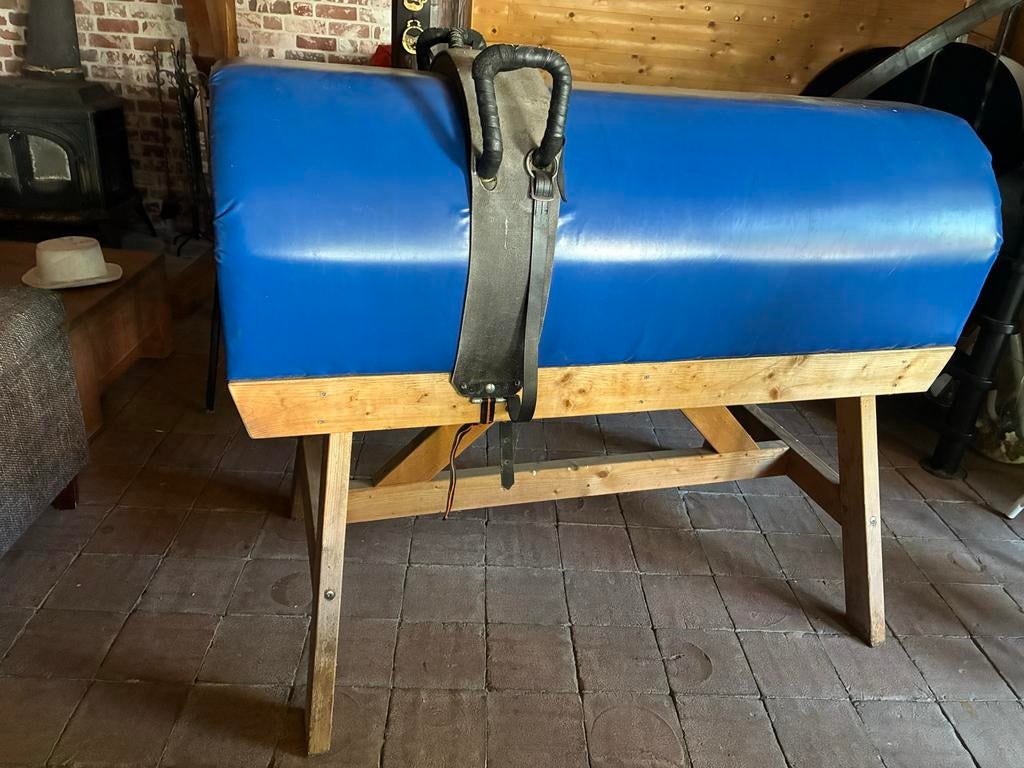 Voltigebok - Stevige Bok met voltigesingel met T beugel, Sport en Fitness, Ophalen of Verzenden, Gebruikt