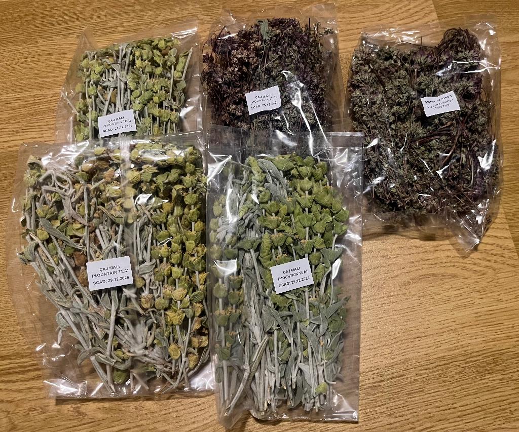 Thee, Verzenden, Overige typen, Nieuw, Glas