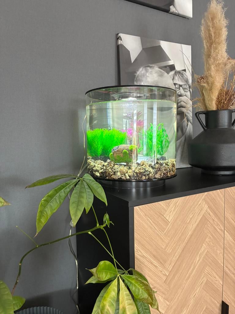 Mooie BiOrb TUBE 15 MCR 15 liter, Oase, Ophalen of Verzenden, Zo goed als nieuw, Leeg aquarium