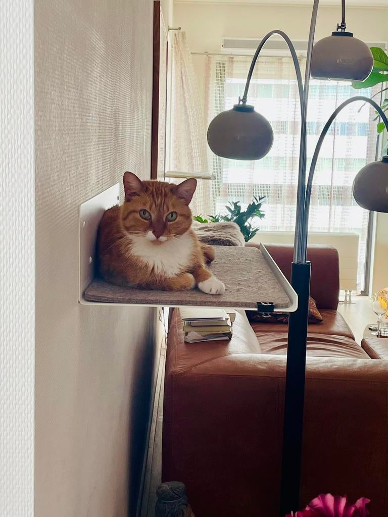 Lucy balu wandplank metaal /kattenligplaats, Dieren en Toebehoren, Ophalen, Zo goed als nieuw