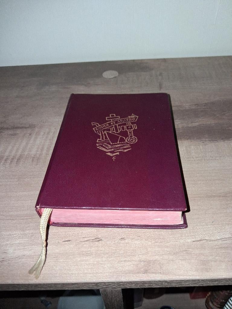 Kruis en Ploeg rood leer, Boeken, Ophalen of Verzenden, Gelezen