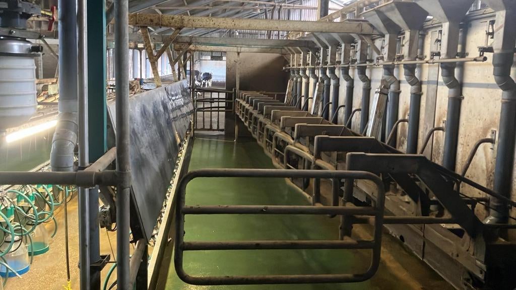 Gea kamphuis 2x12 melkstal frame 2014 met voeren, Gea westfalia, Info@geawestfalia.nl, Hoogeveen