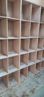 Postduiven zitvakken jonge duiven, Meerdere dieren, Postduif